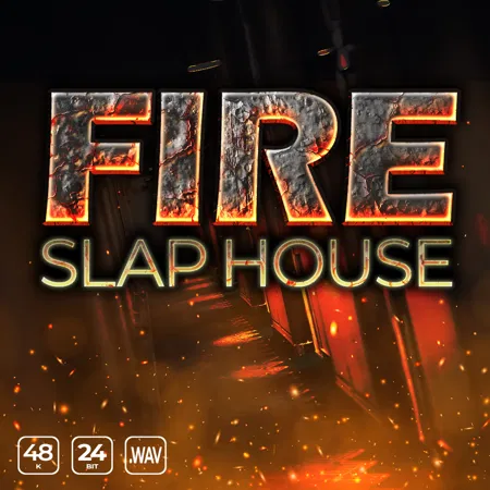 fire slap house