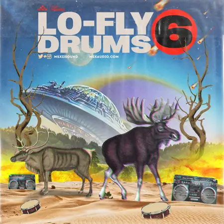 lo flydrumsvol.6