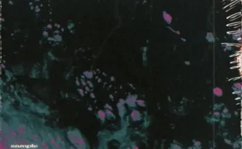 e5bpt5zh